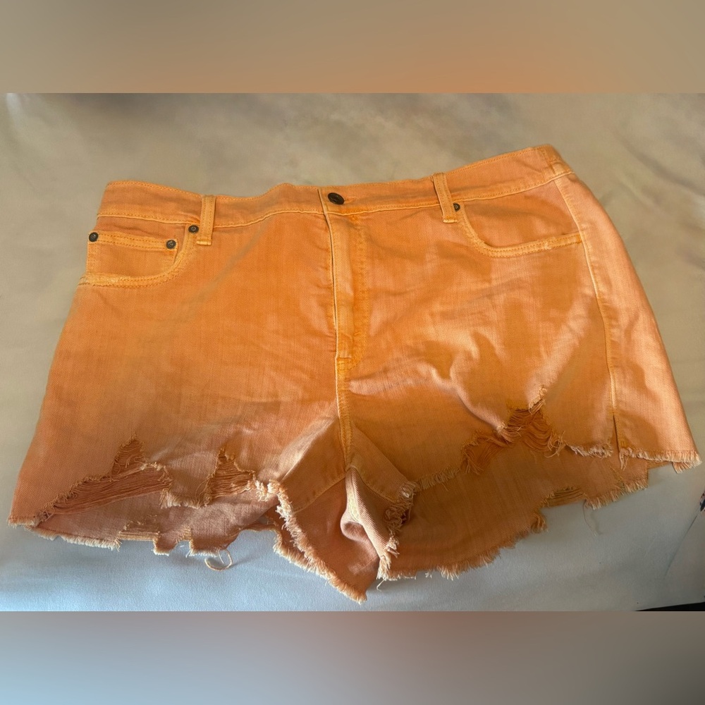 Aerie Shorts Distressed day dreamer shorts never worn great condition